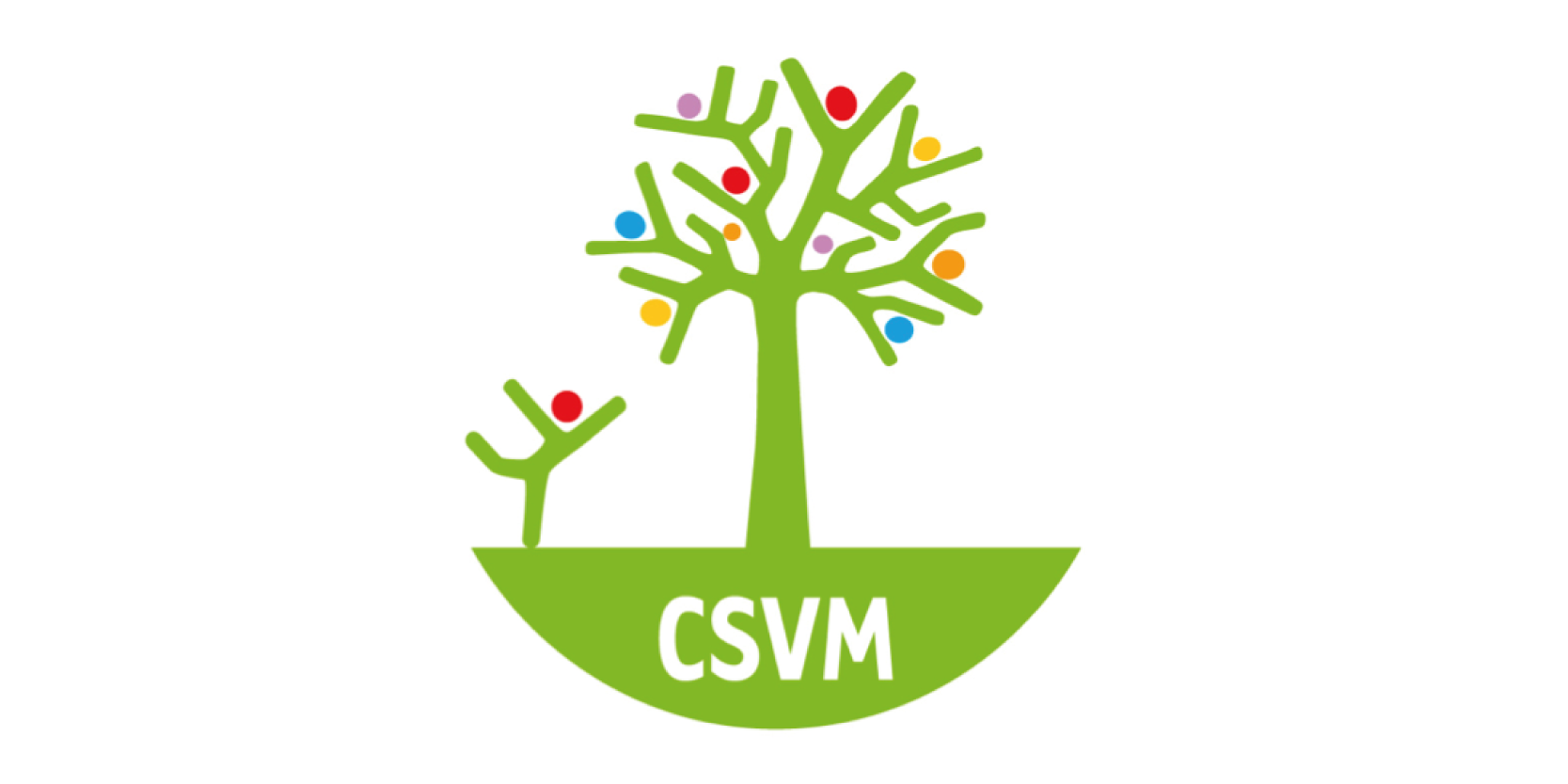 csvm-patrocinio