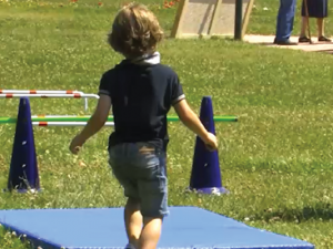 Il gioco al Festival